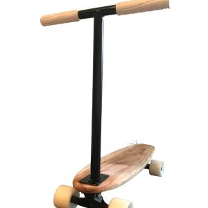The scooter board